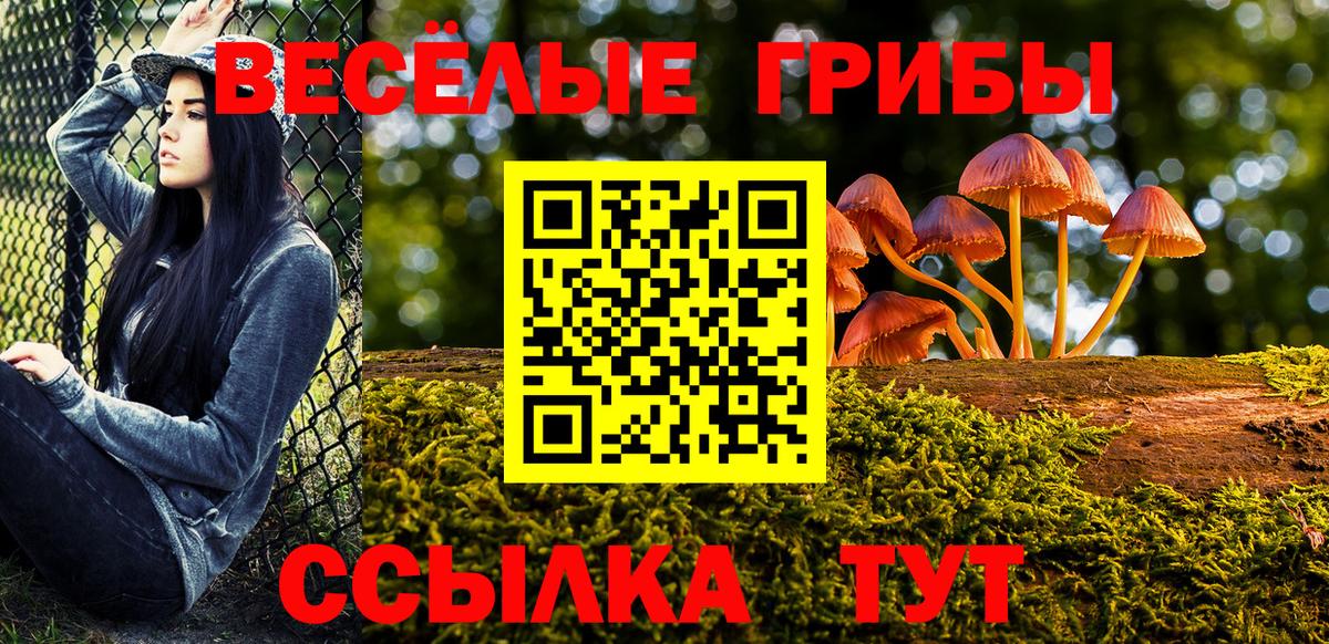 Михайловка  Псилоцибиновые грибы ЛСД  Вход с VPN 